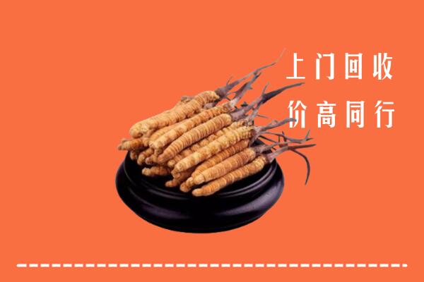 高价求购：呼伦贝尔回收散虫草