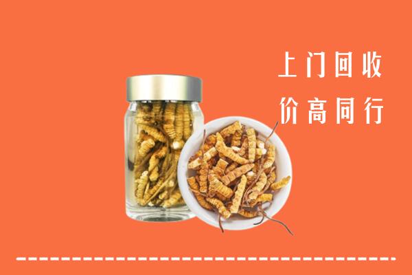 呼伦贝尔回收冬虫夏草